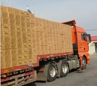 上海粉末活性炭品牌廠家
